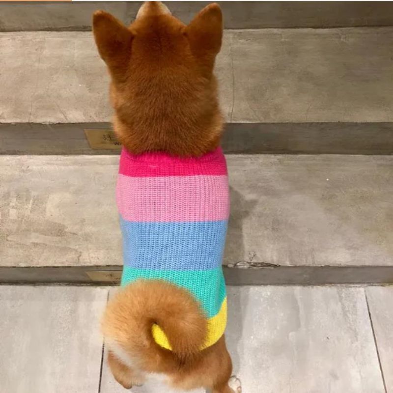 Výrobce vlastní zimní bavlněné pletené kočky svetr pro domácí mazlíčky