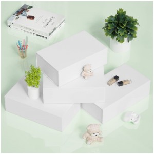 Přizpůsobené dárkové box barev