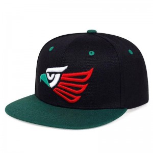 Velkoobchodní snapback cap vlastnínastavitelný hip hopový klobouk s logem vyrobeným v Pákistánu