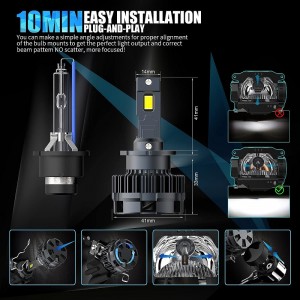 D2S/r LED LED LED LEDSKÉHO