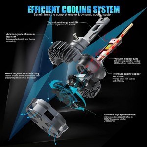 D2S/r LED LED LED LEDSKÉHO