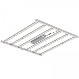 800W 4*4ft Full Spectrum Horticultural Lighting svítidlo pro vnitřní skleníknebo komerční pěstování LED Grow Light