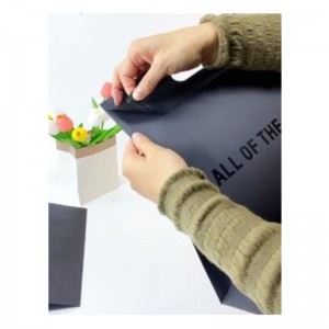 Luxusní vytištěná rukojeť černá oděvnakupování balení papírového taškana šperky Kosmetické zabalovací logo Design Paper dárkové tašky