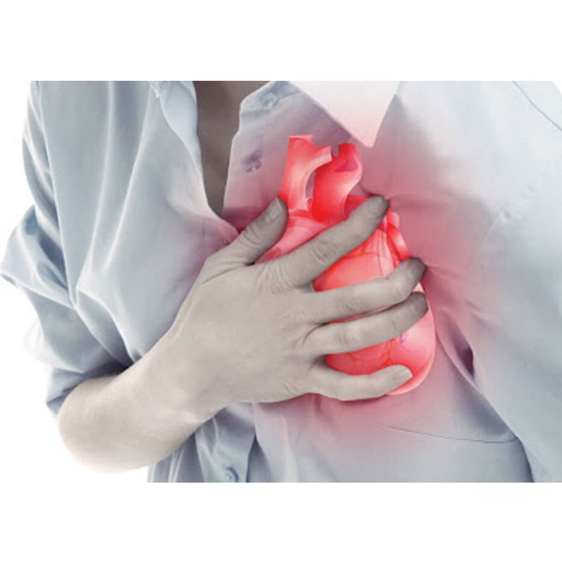 Nanjing lékařská univerzita: NMN zlepšuje infarkt myokardu
