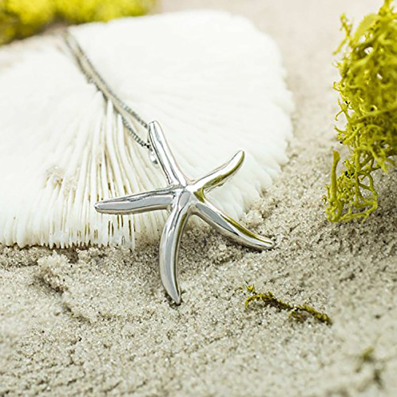 Postříbřený mosazný přívěsek s hvězdicemi Jewelry Company Mosazný leštěný přívěsek s hvězdicí Ocean Sea Life s 18 řetízkem