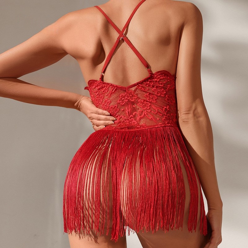 Sexy spodní prádlo, sexy krajky, čirý design, hluboký V - krk pro svůdný vzhled s střapcem - Panel and Cross - Zálohové podvazkové šaty, cena F2640:$79,99