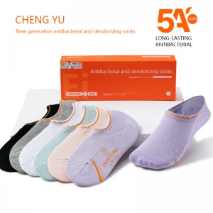 Čtyři roční období ženyneviditelné ponožky