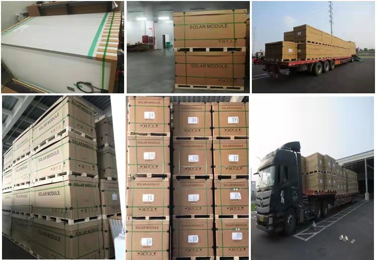 1619756948.jpg 512.jpg