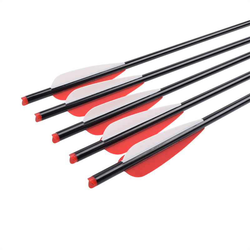 1628559484.jpg 5.jpg