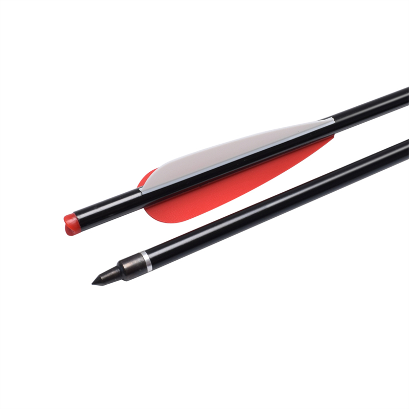 1628559506.jpg 7.jpg