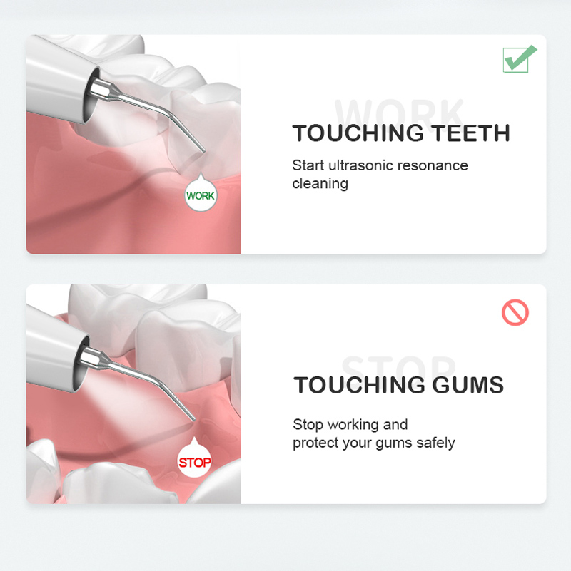 1664352102.jpg 08.jpg