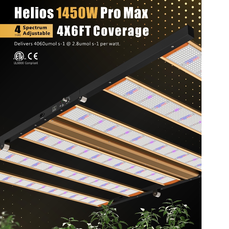 1704193035.jpg 11.jpg