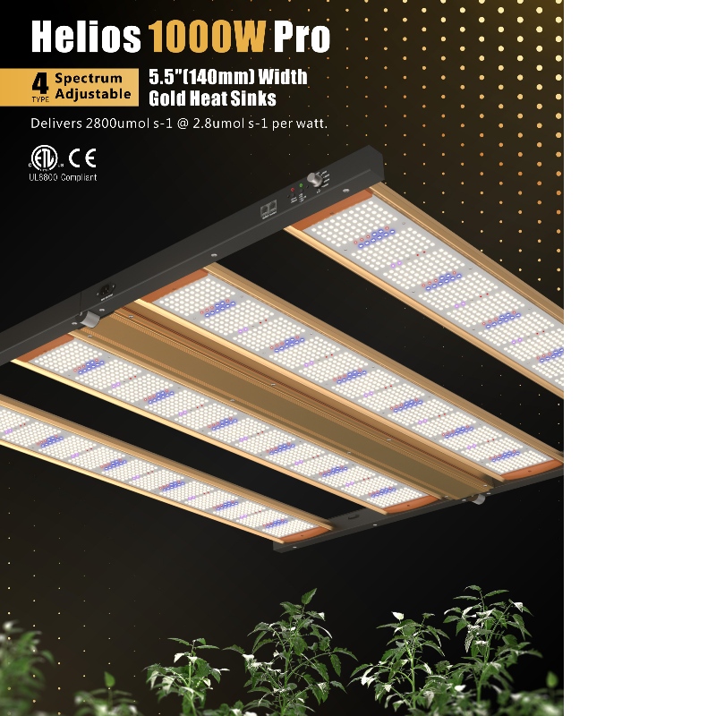 1704341564.jpg Pro-4.jpg