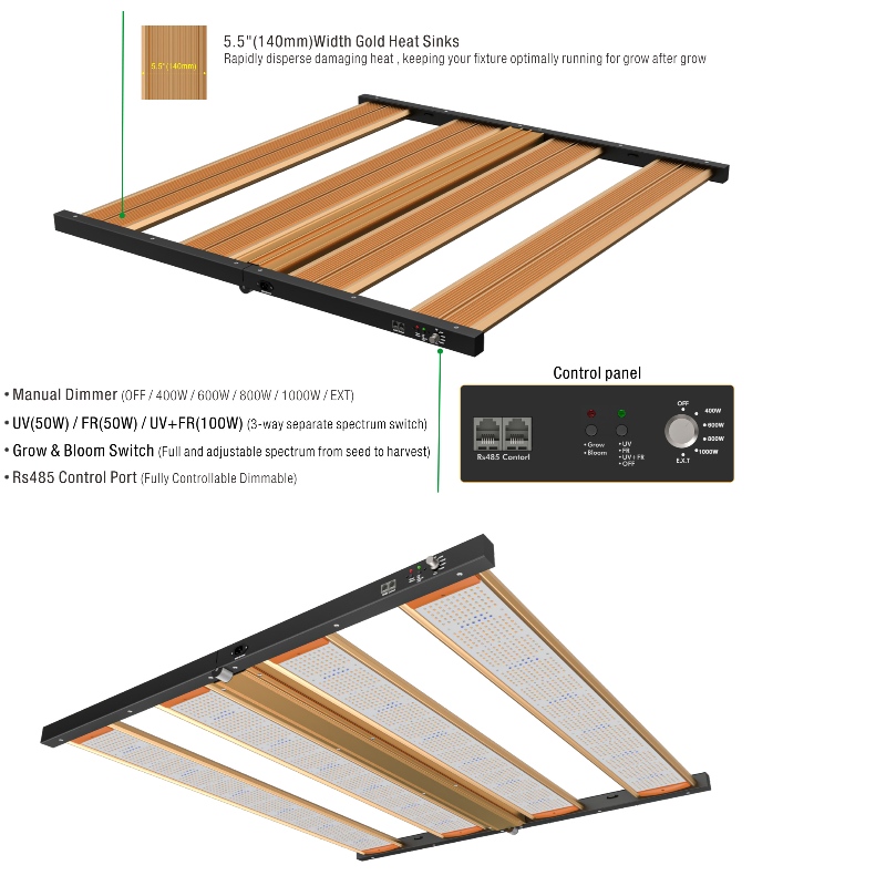 1704341575.jpg Pro-5.jpg