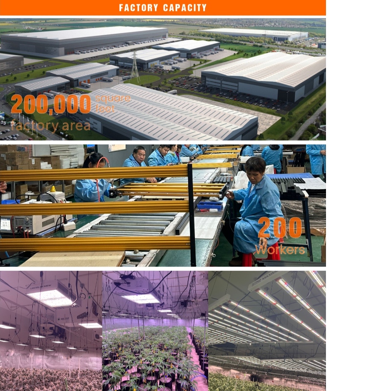 1705394499.jpg 001.jpg